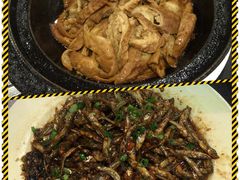 -美极鲜食坊(宝安南路店)