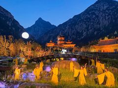 -禅宗少林·音乐大典