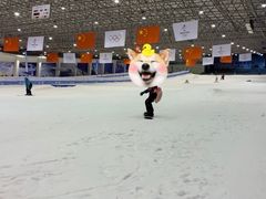 -绍兴启迪乔波冰雪世界