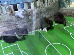 -海合安青岛极地海洋公园