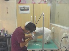 -美联众合爱康动物医院•复杂内科•肿瘤科•牙科•腔镜诊疗中心
