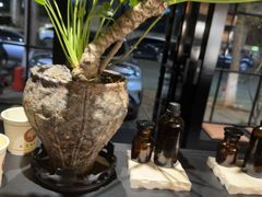 -泰·菩提树下[泰式按摩x精油SPAx肩颈头疗](新景店)