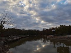 -上海吴淞炮台湾国家湿地公园