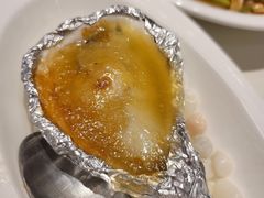 雪青柚烧生蚝/只-凤凰楼酒家·粤宴点心(华强北店)