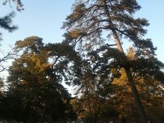 -沈阳市东陵公园