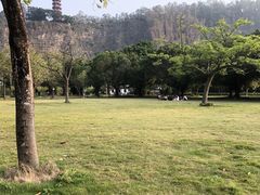 -南沙蒲洲花园