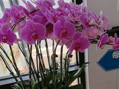 -咬不得高祖生煎·简餐(高银街店)