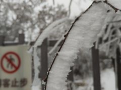 -云丘山景区