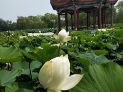 -南戴河国际娱乐中心