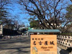 -名古屋城