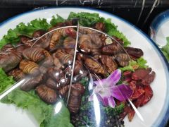 -渔码头食府(蓬莱阁店)