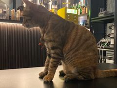 -叁 Three· bistro餐酒馆