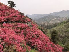 -木兰云雾山