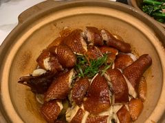 -稻香酒家·34年老字号·港式粤菜(侨光店)
