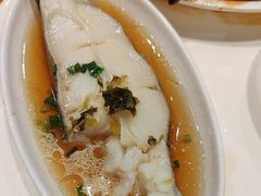 银鳕鱼-66梧桐院·天平邻里汇(乌鲁木齐南路店)