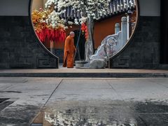 -灵谷景区