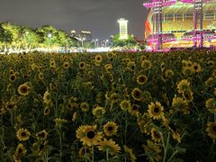 -海心沙亚运公园