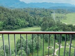 -成都蒲江花样年福朋喜来登度假酒店·宜客乐西餐厅