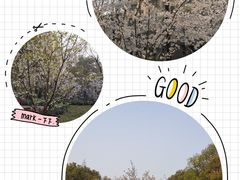 -徐家汇源景区-衡山公园