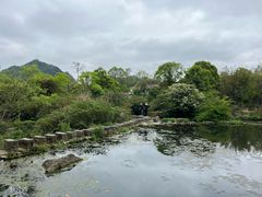 -花溪公园