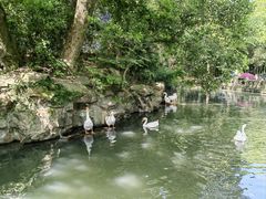 -兰亭风景区