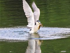 -重庆彩云湖湿地公园