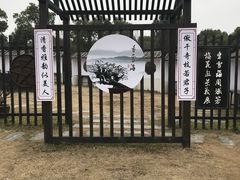 -香雪海