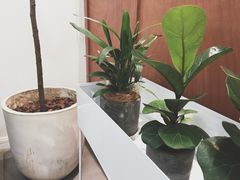 -Onirii Coffee(长乐路店)