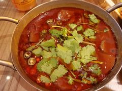 仔姜鲜锅嫩鸭血-不曾在把把烧•烧烤(莲坂磐基店)