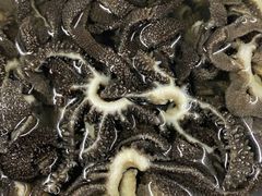 鲜毛肚-德顺斋爆肚涮肉馆·烧烤·羊蝎子·清真炒菜(马驹桥店)