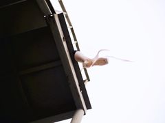 -浙江绿城心血管病医院