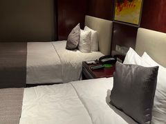 -常州环球恐龙城维景国际大酒店