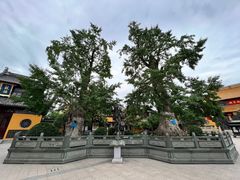 -圆通寺