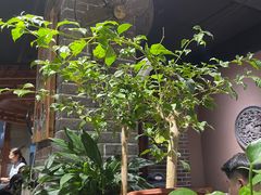 -新派川菜馆(济南路店)