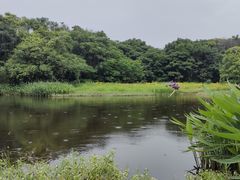 -艾溪湖湿地公园
