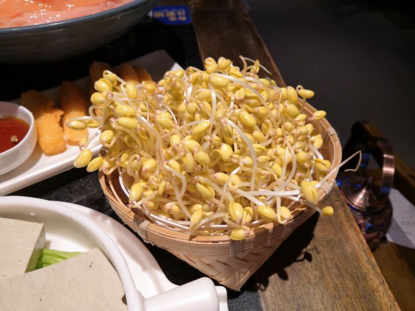 「自生黄豆芽」 豆芽烫着真的很好吃,喜欢豆芽瓣, 他们家的豆芽瓣口感