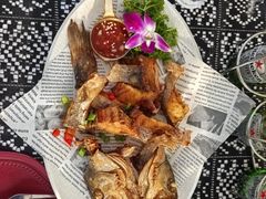 -马有鱼·馕坑烤全鱼(美美2店)