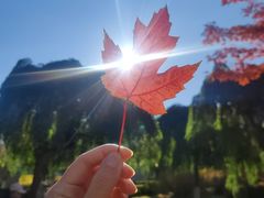 -长春公园(普阳街道)