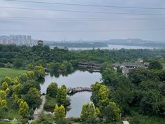 -张坝桂圆林公园