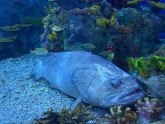 -上海海昌海洋公园