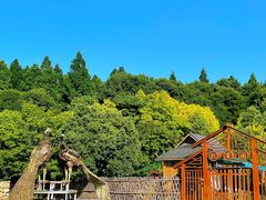 -东平国家森林公园