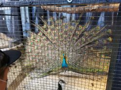 -酷嗒动物文化乐园(cutezoo西溪乐天城店)