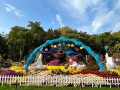 -上海共青森林公园