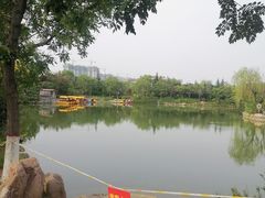 -大槐树寻根祭祖园