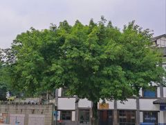 -磁器口古镇