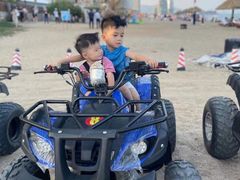 -广东惠东海龟国家级自然保护区