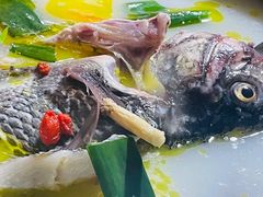 -草墩罗非鱼庄•野生菌•腊排骨(七星街上段店)