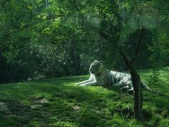 -北京野生动物园