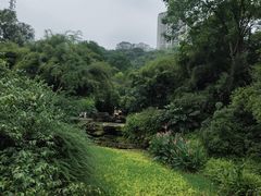-龙头寺公园