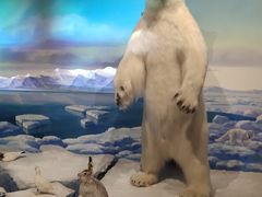 -陕西自然博物馆